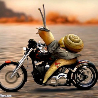 Slow down!