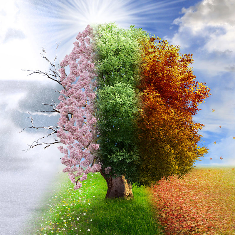 The changing seasons